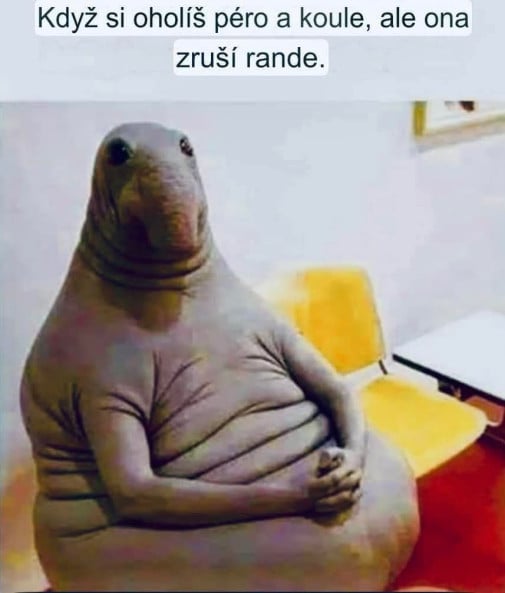 Rande nič
