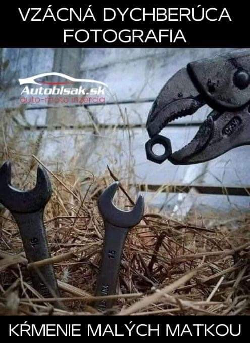 Hladné krky