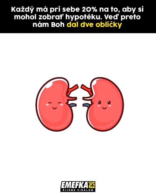 Kapitál