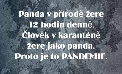 pandémia