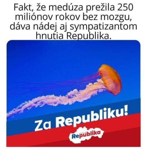 Nádej