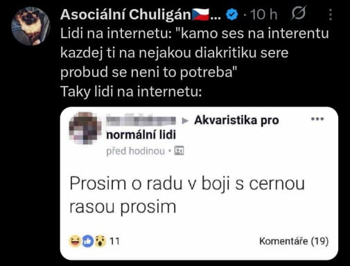 Cerna rasa
