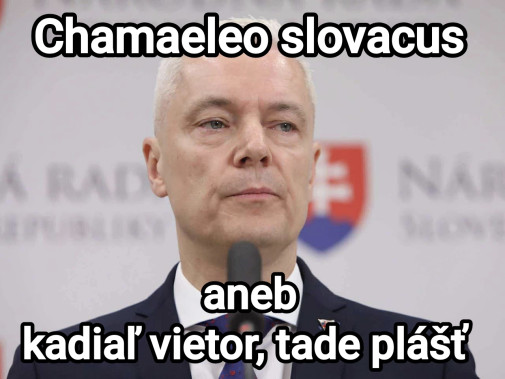 Nový parlamentný druh