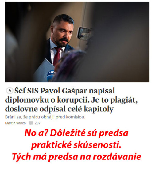 Prax diplomovkou nenahradíš